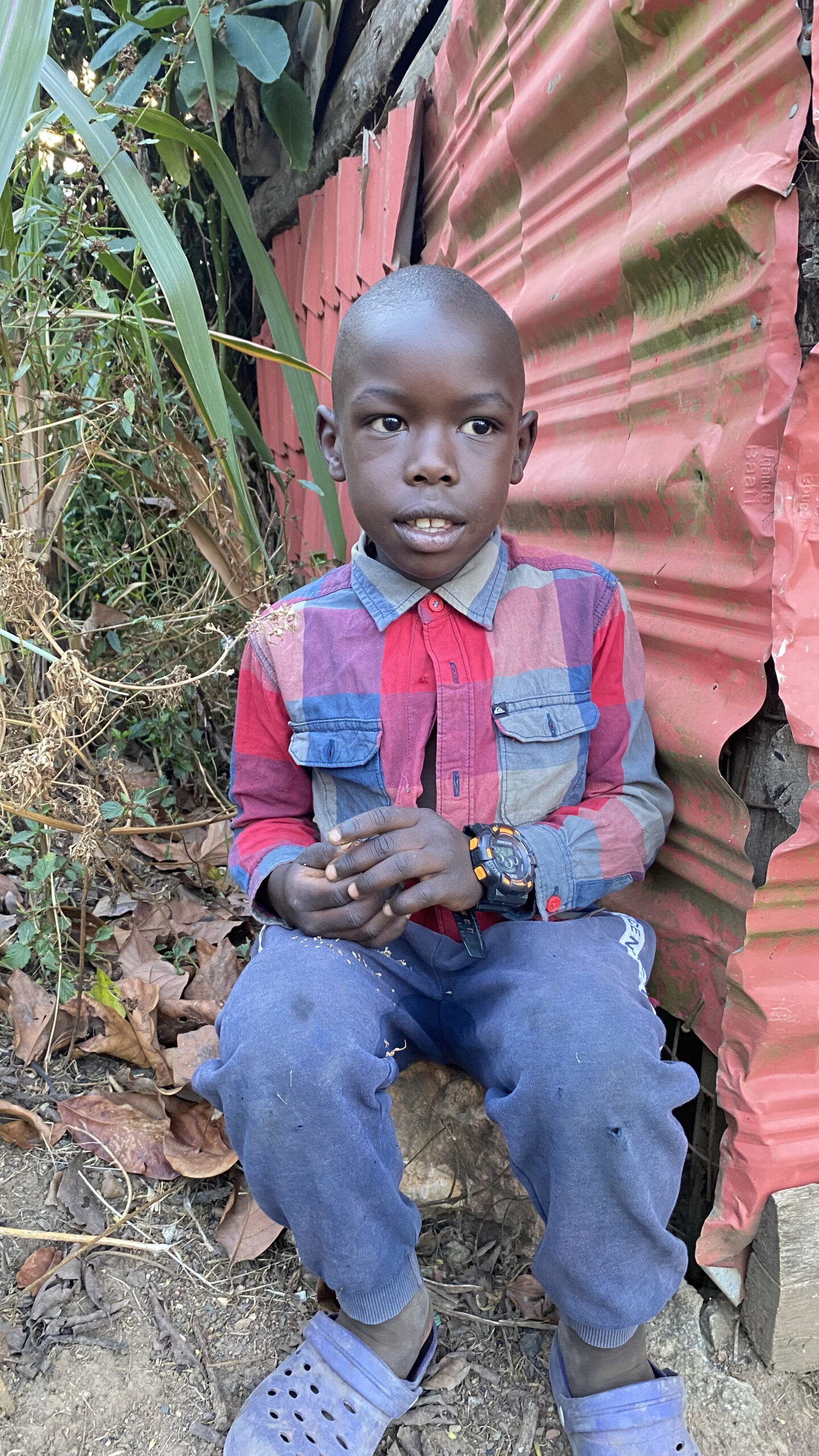 Jonah - Image 1